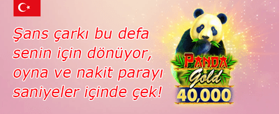 Bedava Dönüşler 🎰 promotion